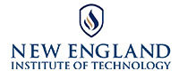 NE Institute of Technology logo
